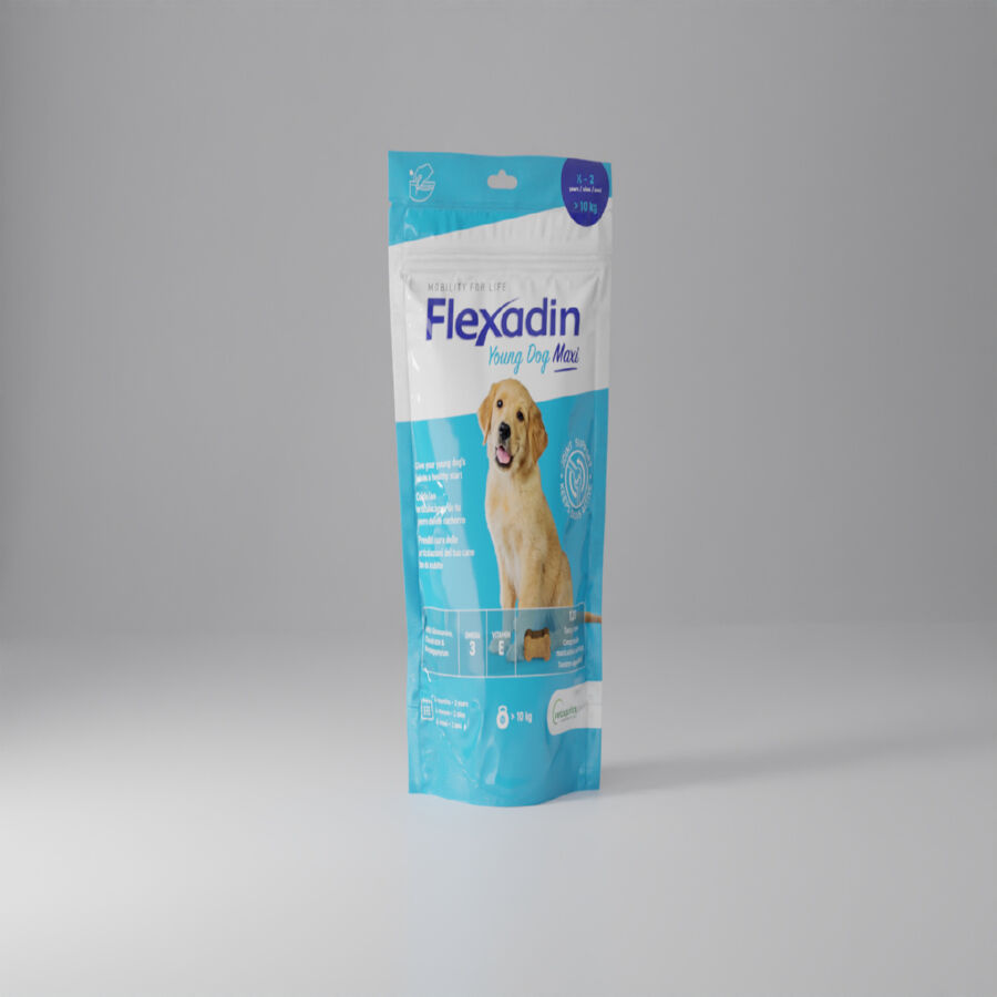 Vetoquinol Flexadin Young Maxi Condroprotector para cachorros, , large Imagen numero 6